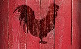 1389682713backyardbbq2_165x100.jpg