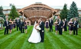 1390217463Dream-Wedding.jpg